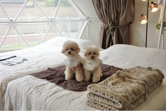 【ペットと泊まれる宿の予約サイト「INUYADO-いぬやど-」】第3回「インターペット大阪」出展のお知らせ