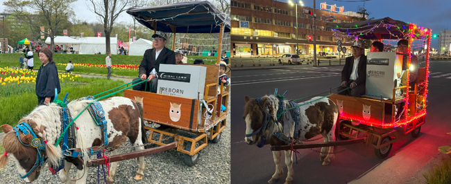 使用済みEVバッテリーを再活用したイルミネーション付き“光る花馬車”が登場！地域イベントで循環型経済を体現