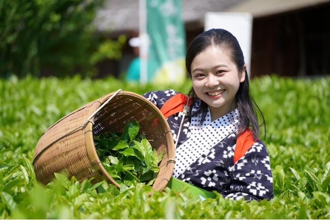 兵庫県内随一の茶どころ 丹波篠山でお茶を楽しむ　　　　　　　　「第43回大国寺と丹波茶まつり」