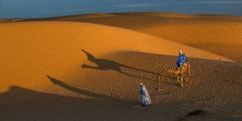 【横浜市立大学】TICAD9開催記念！世界銀行×横浜市立大学連携イベント -第１弾-
世界銀行写真展「アフリカの人々と場所」開催