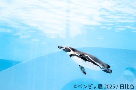 ペンギン 展示作品:日比谷 ペンギン 展示作品:日比谷