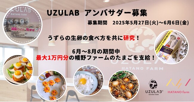 あなたのアイデアが新定番に？総額1万円分のうずらの生卵で、夏ぴったりの食べ方を共に研究！2025年5月27日（火）より「初代UZULABアンバサダー」を募集