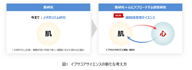 イプサ、メタボリズム研究を発展させ、心にもアプローチする「細胞感受性サイエンス」へ ～肌と心の良循環を促し、フルネスを目指す～