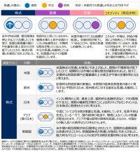 グローバル市場見通し（2025年5月）～株式見通しを強気に引き上げ～