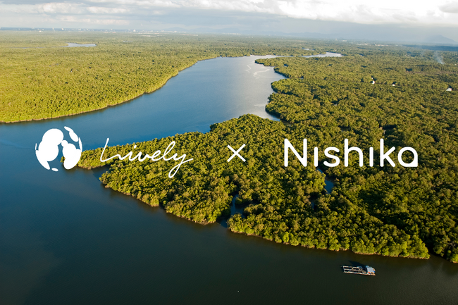 LivelyとNishika、森林のCO2吸収量可視化システムの開発・社会実装に向けたパートナーシップ契約を締結