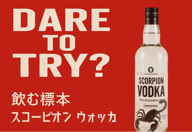 【衝撃】大きなサソリが丸ごと1匹！視線を奪う“飲む標本”――ブラックスコーピオンウォッカ、登場。