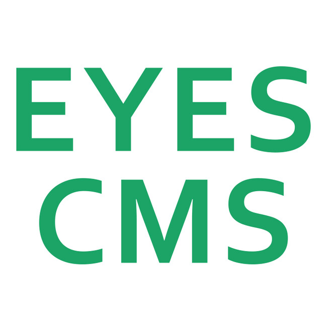 WEB起点のリアルを革新。株式会社アイズ、AIを活用した集客（求人含む）特化型CMS「EYES CMS」（アイズ シーエムエス）を本格展開