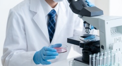 皮膚粘弾性の維持にオキシトシン受容体の増加が！？