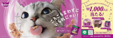 ごろごろ言わずにいられにゃい、20年越しの新「うまみレシピ」
カルカン(R) ポイントを貯めるとその場で当たる！プレゼントキャンペーン