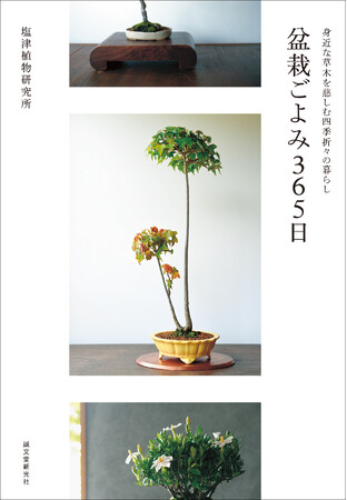 日本で唯一の「種木屋」である塩津植物研究所が誰もが馴染みのある植物を中心に、およそ200品目・300種以上の植物を紹介。