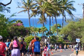 ハワイらしい景色の中を走るランナー