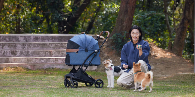 【PETTENA】ペットとの快適な移動を追求するPETTENA、ブランド設立2周年を迎え感謝祭を開催！人気ペットカートの限定セールやSNSキャンペーンも実施