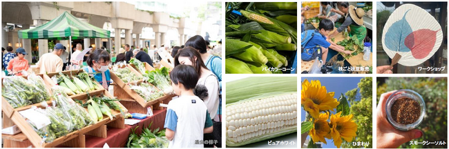 “夏先取り”イベント！産地直送の新鮮な朝採れ夏野菜がそろう「トウモロコシ&枝豆フェスティバル」開催