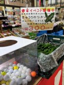 ゴルフボールで「きゅうりのすくい取り」