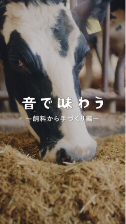 6月1日は 「牛乳の日」 “牛乳本来のおいしさを味わえる、パスチャライズド牛乳ができるまで” を目と耳で楽しむ ASMR動画　『音で味わう生活クラブ』5/29から公開