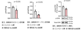 慢性低ナトリウム血症による精神症状のメカニズムを解明