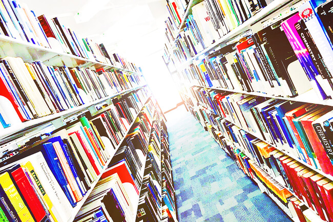 発達障害児教育学者が考えたエビデンスに基づく学習療育×運動療育で発達障害児の未来をつくる「同立アカデミー」2025年6月沖縄県と奈良県に同時開校！長年の研究結果と最新科学で、発達障害児の療育に新風を！