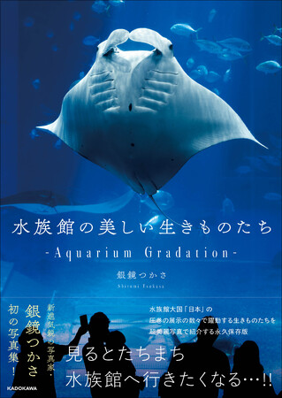 日本のすごすぎる水族館の世界！　SNSで話題の新進気鋭写真家・銀鏡つかさ初の写真集『水族館の美しい生きものたち -Aquarium Gradation-』好評発売中