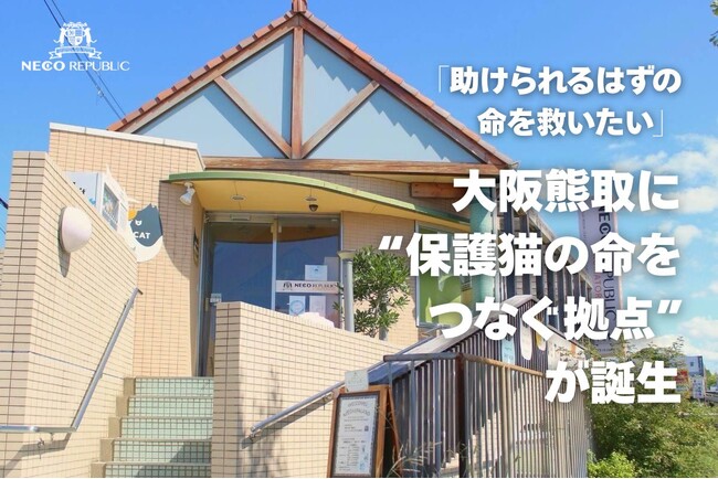 大阪熊取に“保護猫の命をつなぐ拠点”が誕生 ── 保護猫カフェが医療連携型のオープンシェルターへリニューアル！