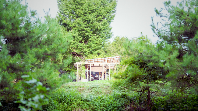 【群馬県吾妻郡高山村・レンタルスペース】閉ざされた自然豊かな森と静かな土地を自分だけの使い方で自由に過ごせる【SNS撮影やヒーリングイベントにピッタリ】