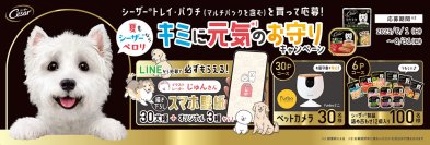 全105種！人気イラストレーターじゅんさん描き下ろし壁紙をプレゼント
「夏もシーザー(R)ならペロリ キミに元気のお守り キャンペーン」実施
