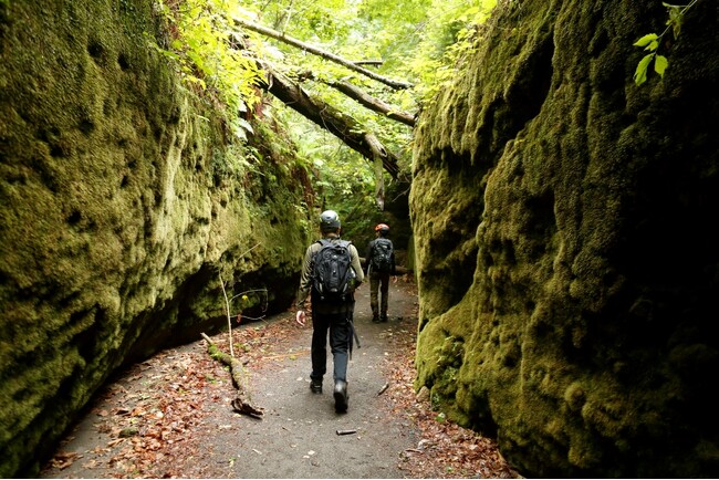 北海道支笏湖のパワースポット「苔の回廊」を巡る人気ツアーが体験できる特別宿泊プランを、「しこつ湖 鶴雅リゾートスパ 水の謌」で今年も販売開始！