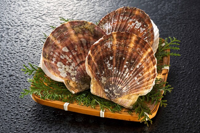 【鶴雅グループ70周年記念】「サロマ湖 鶴雅リゾート」にて、旬を迎えるサロマ湖産貝付き＆生玉ホタテが付いた宿泊プランを販売開始！