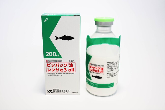 世界初！ブリ養殖で最も被害が大きいα溶血性レンサ球菌症を予防する3価混合ワクチンの販売開始
