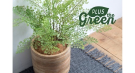 グリーン関連ブランド『PLUS the green(プラスザグリーン)』から、新商品「フェイクグリーン」が5月全国発売しました。 グリーン関連ブランド『PLUS the green(プラスザグリーン)』から、新商品「フェイクグリーン」が5月全国発売しました。