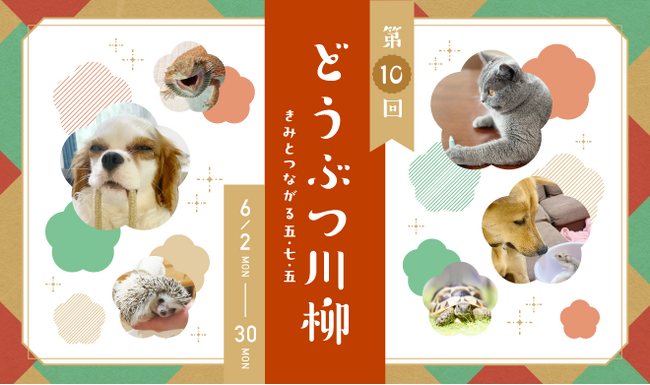 アニコム損保の第十回「どうぶつ川柳」、募集開始！入賞作品には豪華プレゼントも