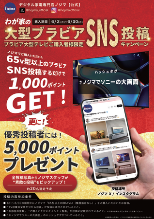 SONYテレビ65型以上ご購入→SNS投稿でノジマポイント1,000円分がもらえちゃう!