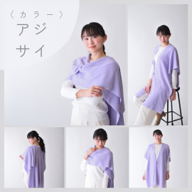 カラー：アジサイ