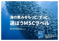 MSCジャパン「海の恵みをもっと、ずっと。選ぼうMSCラベル」 キャンペーン本日スタート！
～Instagramで魚関連グッズを当てよう！～　2025年6月3日（火）～7月2日（水）