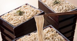 北海道そばが６０分食べ放題！毎年大好評のとんでん『そばの日』を６月から関東店舗限定開催
～そば生産量日本一！幌加内(ほろかない)産そば粉を使用したこだわりのそばをご用意～
