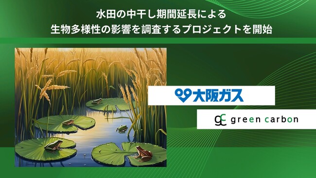 【日本初】Green Carbon株式会社は、水田の中干し期間延長による生物多様性の影響を調査するプロジェクトを開始