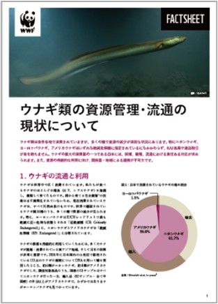 WWFジャパンと中央大学、ウナギの取引と流通の最新動向をまとめたファクトシートを共同発表