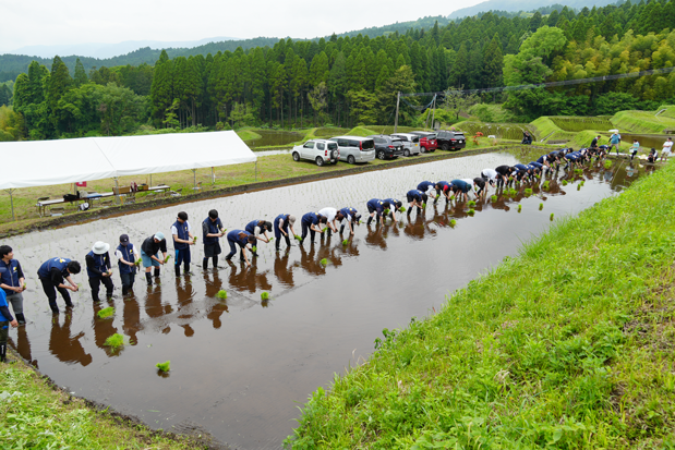 アイティフォー、「阿蘇水掛の棚田」で社員による田植えを実施