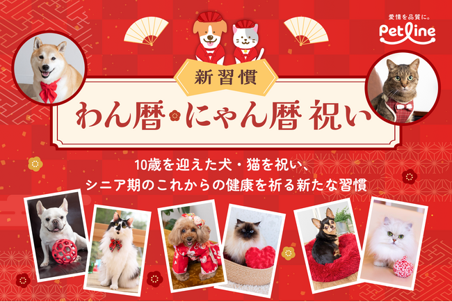 ペットラインが新習慣「わん暦・にゃん暦 祝い」を新たに提案　～いぬとねこ シニアのそなえプロジェクト～