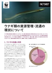WWFジャパンと中央大学、ウナギの取引と流通の最新動向をまとめたファクトシートを共同発表　　アメリカウナギの取引が世界的に急増、国内蒲焼のウナギ種別調査でも4割を占める
