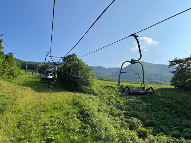 雲海と山野草の女王「シラネアオイ」に出会える高原体験　“朝の「天空の丘」と「あみはりの森」お散歩会”毎日開催！　絶景・網張温泉「天空のリフト」も運行中