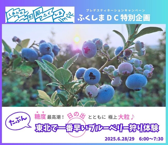 ふくしまプレデスティネーションキャンペーン特別企画　日本唯一のブルーベリーミュージアム　(たぶん)東北で1番早いブルーベリー狩り体験、始まる！［福島県郡山市役所］