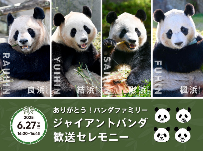 ありがとう！パンダファミリー「良浜」「結浜」「彩浜」「楓浜」２０２５年６月２７日（金）歓送セレモニーの詳細をお知らせします
