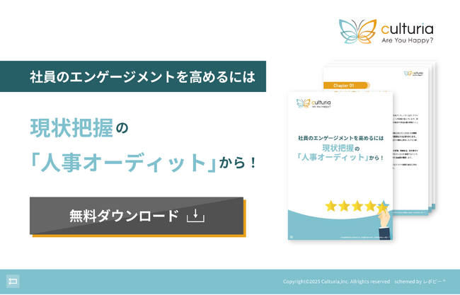 企業の人事戦略立案の第一歩、「現状把握の『人事オーディット』から始める組織改革」解説ガイドを無料公開！