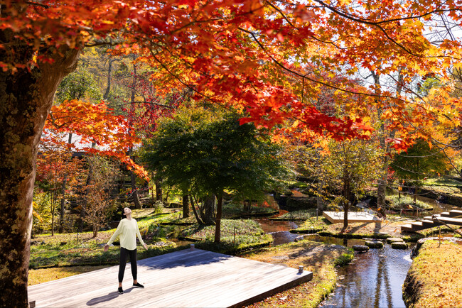 【星のや軽井沢】紅葉の中で心身の調和と上質な睡眠へと誘う、医師監修ウェルネスプログラム「軽井沢 秋の健幸滞在」今年も開催