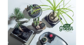 グリーン関連ブランド『PLUS the green(プラスザグリーン)』から、新商品「ブルータポット」が全国発売しました。