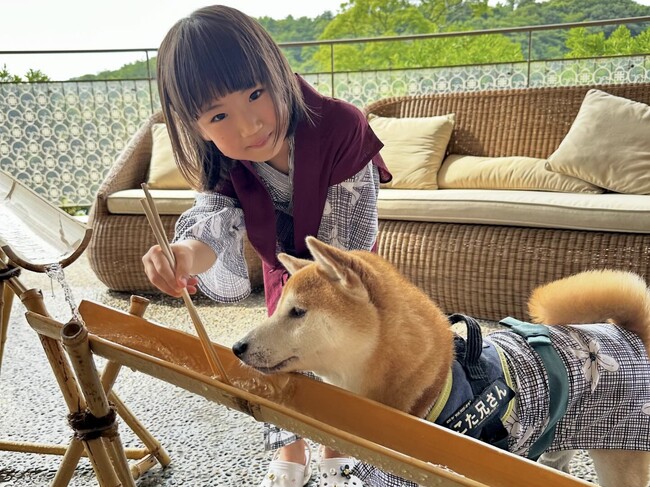 大好評「愛犬流しそうめん」2025年は7月4日から開催！今年は「愛犬スタミナ ステーキフェア」も同時開催！