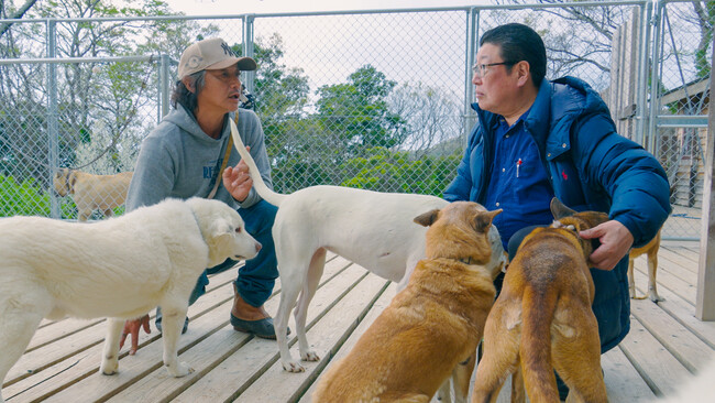 濱友株式会社が保護犬・保護猫「推し活」アプリでシェルター支援活動を開始