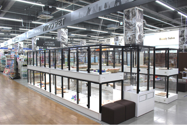 P’s-first八王子多摩美大前店　6月7日（土）NICO PET内にオープンのお知らせ