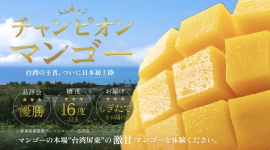 チャンピオンマンゴー(1)