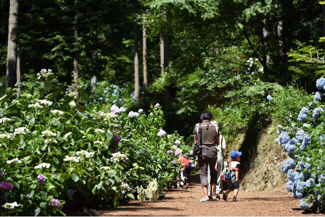 2025夏の東京国立公園エリアで起こる“都会を忘れる、五感の冒険”
